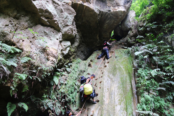 Ͽ�������ͱ�