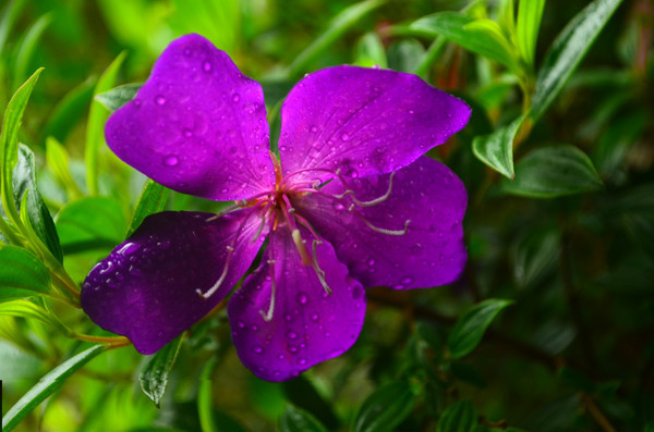 ����ˮ��