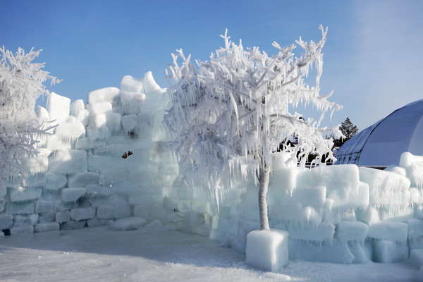 ʥ������