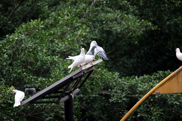 ��Ⱥ�ĸ�����Ϣ