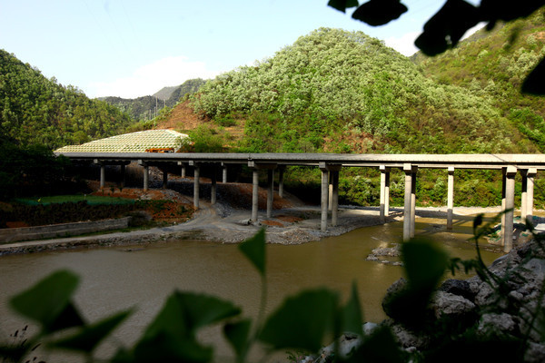 ��̲�ϵ���