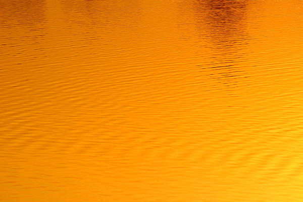 ��ɫ����