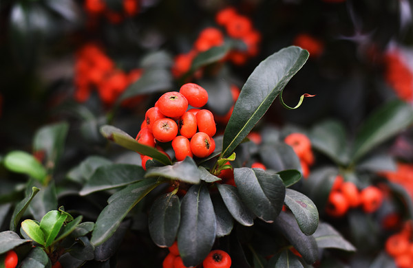 �������д