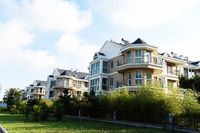 �������Ⱥ