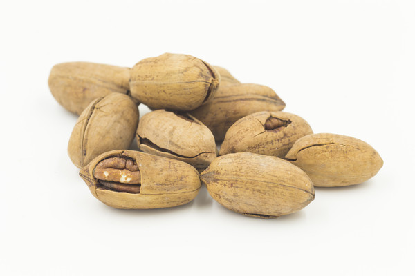 ɽ���̸���