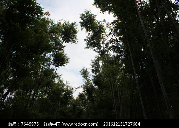 �������ͼƬ