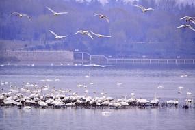 ���߷��������