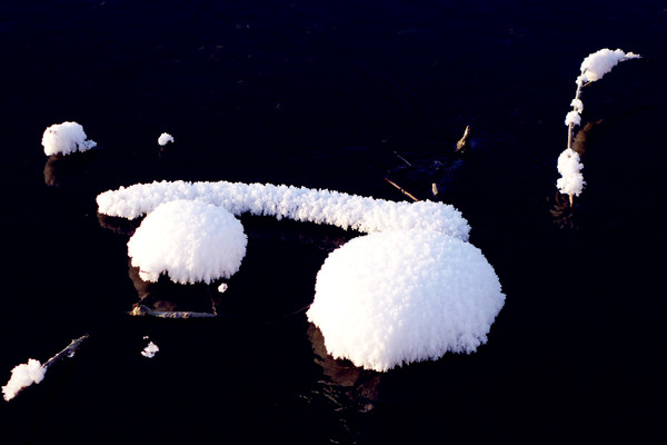 ����ѩ��ѩ��