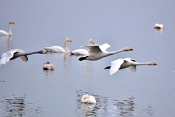 �Ϳշ�������