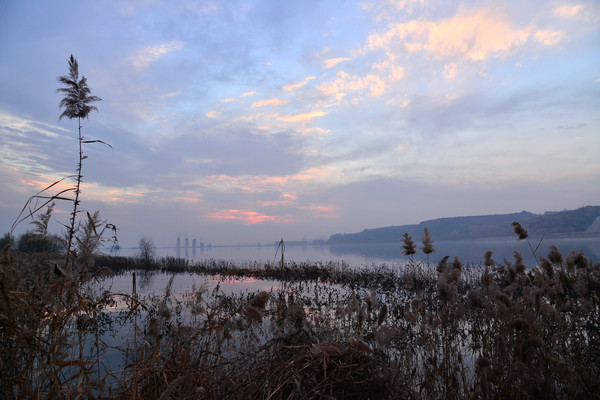 ���ϵ�����