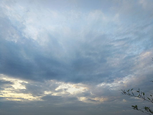 �Ʋ�����