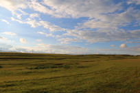 һ���޼ʵĲݵ�