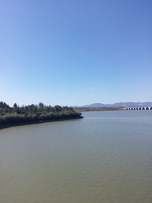 �̿��µ��˹�������