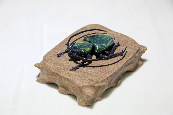 ��������Ʒ��ɫ��ţ