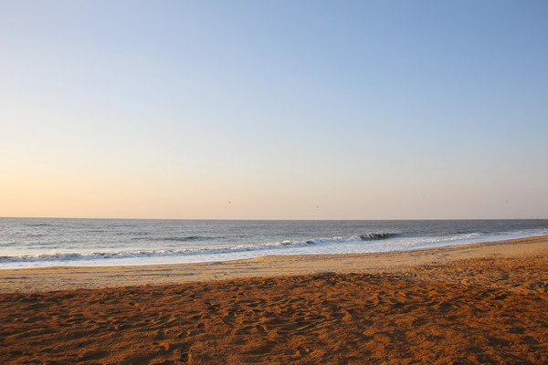 �����еĺ�̲