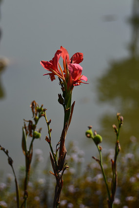 ���ߵ����˶�