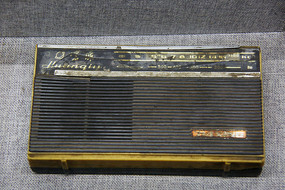 ��ʽС������