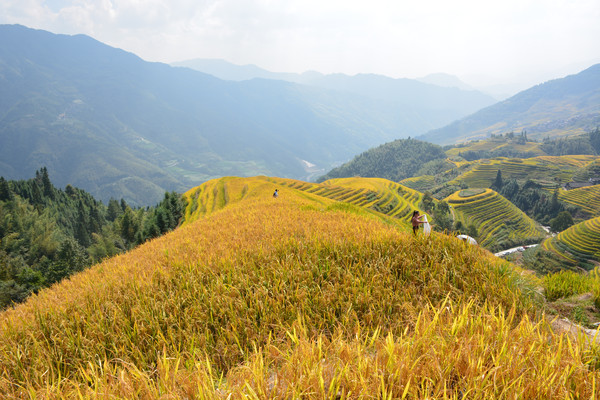 ��������ɽ��