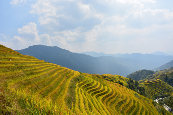 ��������ɽ��