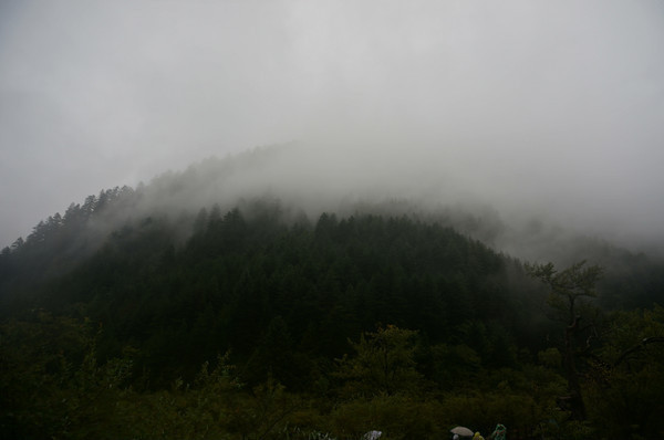 ɽ���е�����