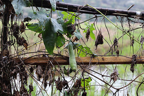 ���ľ���ϵ�˿��