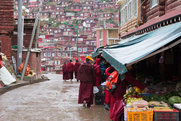 ������ѧԺ��������