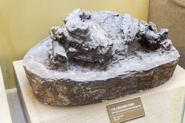 Ԫı����ַ���ﻯʯ