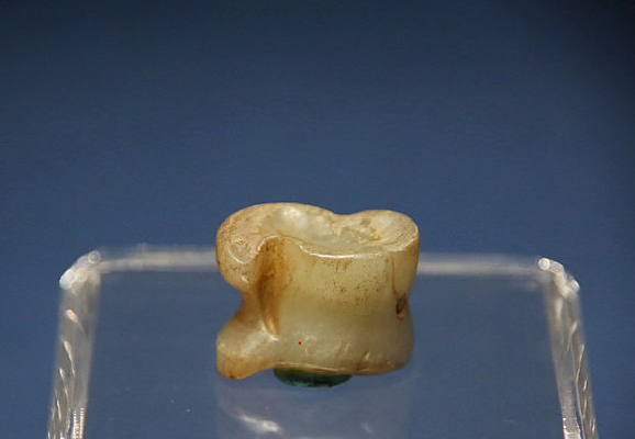 ���������������