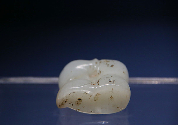 �����������������