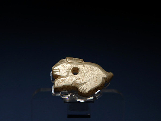 �̴��������Ϋ�