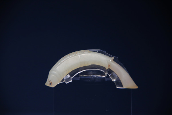 �̴��������Ϋ�