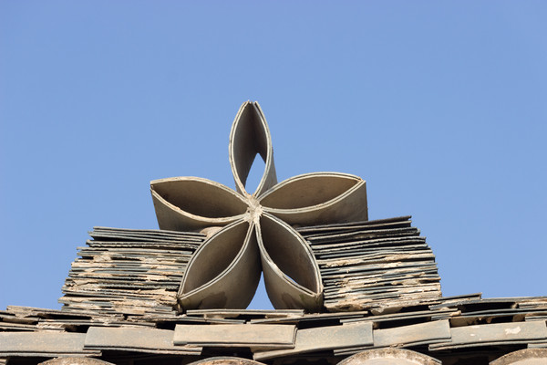 ���ܻ��͵���