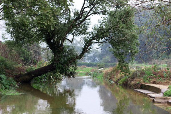 ���߹���