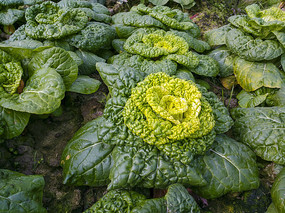 ���۾��Ĳ�