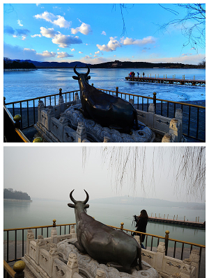 �ú�԰�����������Ա�