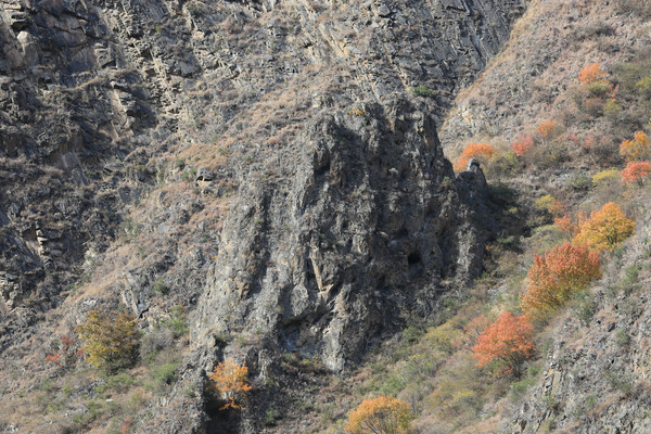����ɽ��ɽ��