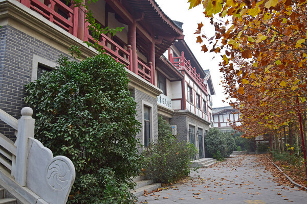 �¹Ž���Ⱥ��Ӱ