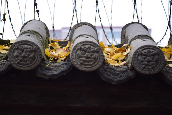 �Ž����ϵ�ʨ���ߵ�ͼƬ