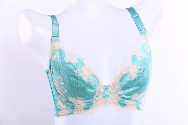 �������Ƶ�Ůʿ��������