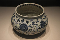 �����໨��֦�ƹ�