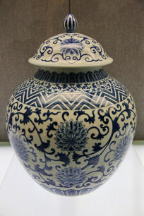 ����������໨��֦�ǹ�