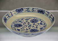 ����������໨��֦����