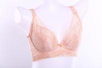 ����ε�Ůʿ��������