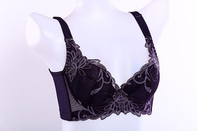 ����˫ɫ��Ůʿ��������