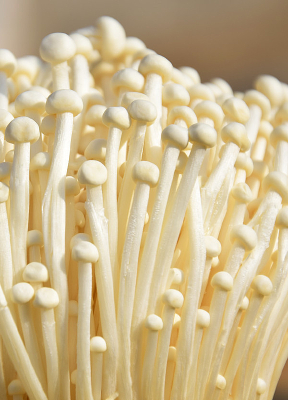 ��ɫ�ľ������ͼ