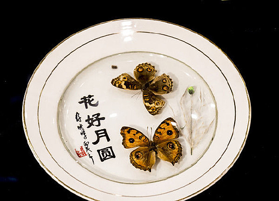 ������Բ�����걾