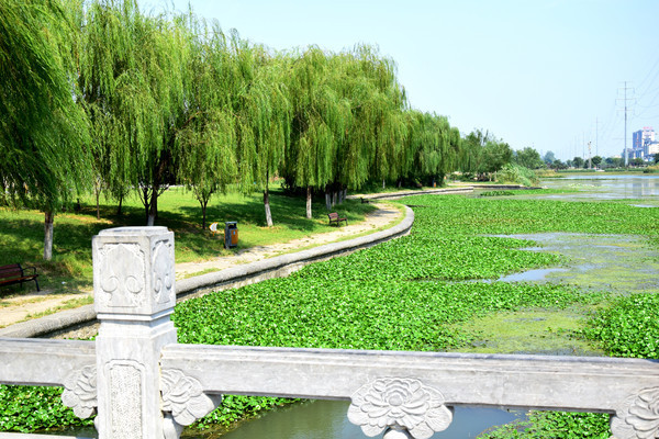 ��Ŀ���̵Ĺ�԰����