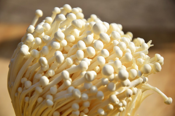 �ܼ������Ľ��빽