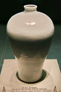 ���������÷ƿ