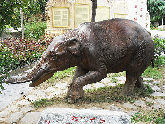 Զ�ŵ�ʼ��������